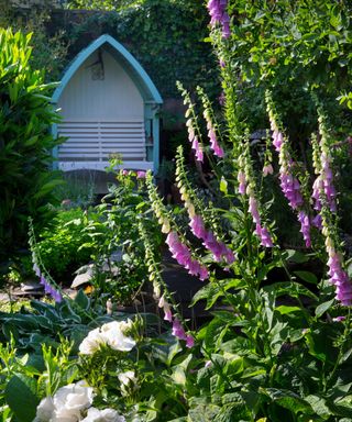 Foxgloves and garden border with arbor seating