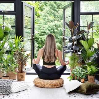 Conservatory with plants for yoga studio