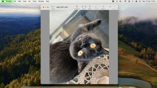 Screenshot showing how to resize an image on a macbook - open image in Preview