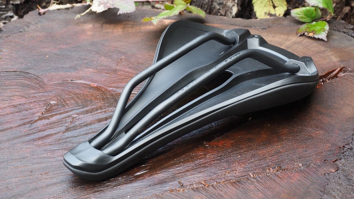 specialized expert saddle