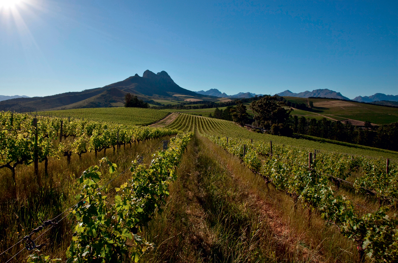 Stellenbosch