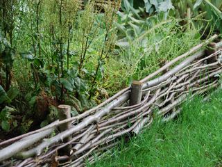 woven hazel edging in naturalistic planting scheme