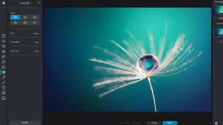 The best online photo editor - Pixlr X