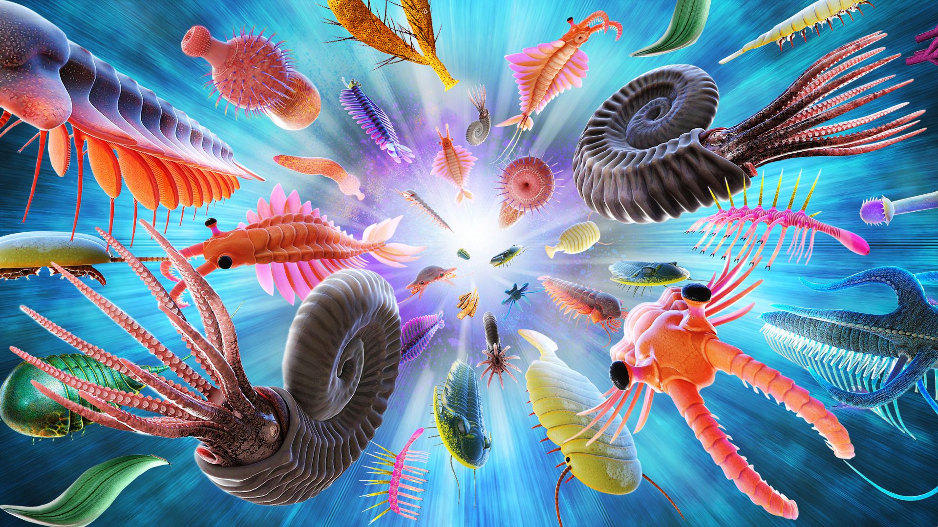 Did the Cambrian explosion really happen? | Live Science