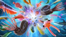 An illustration showing Cambrian creatures in a colorful explosion