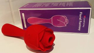 Women review Lovehoney's rose vibrator as it leaves them 'speechless' -  RSVP Live