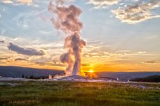 Old Faithful at Yellowstone National Park in Wyoming. 