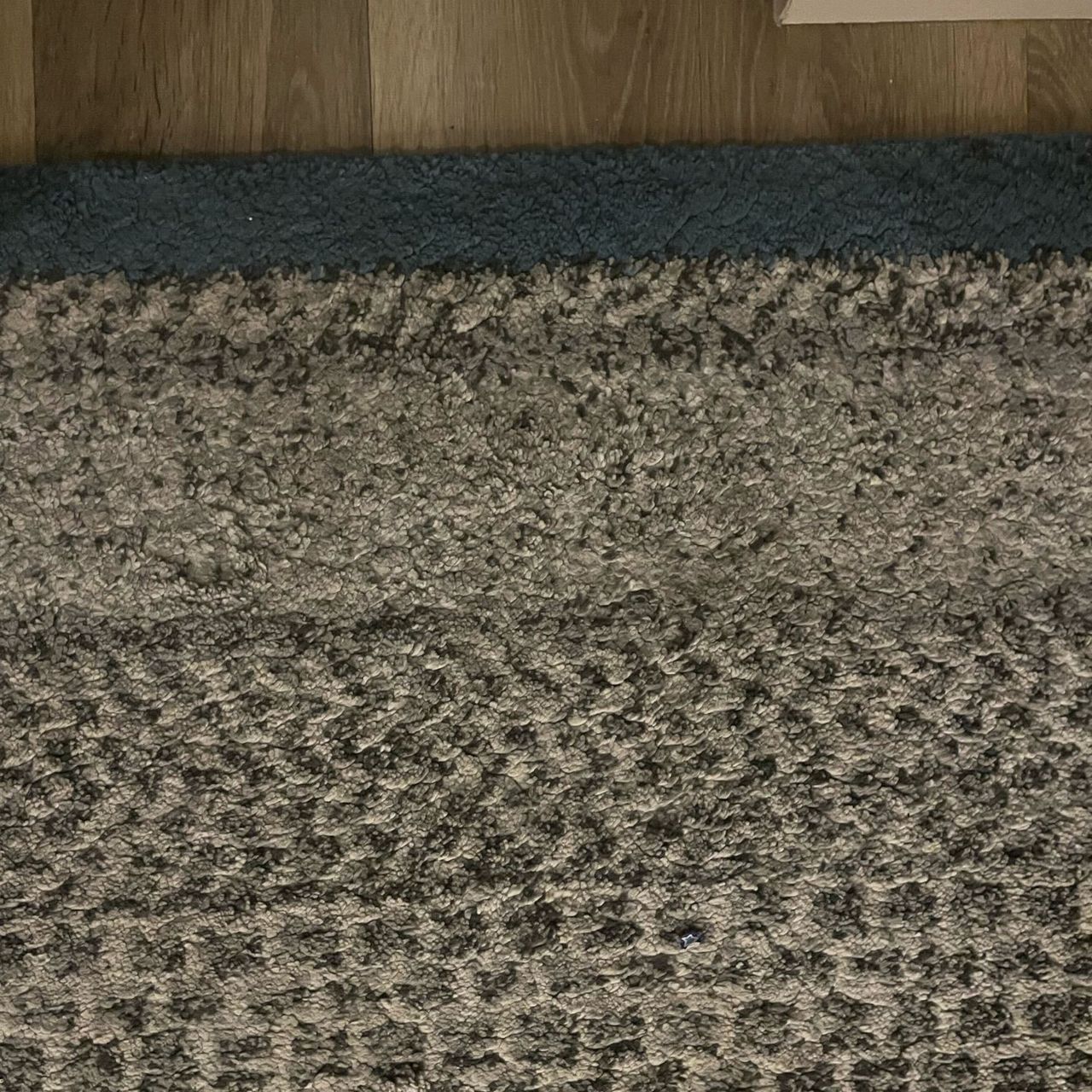 patterned rug before cleaning