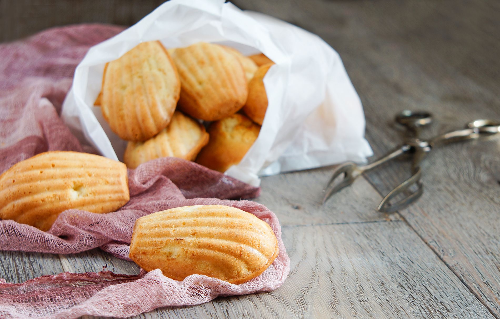 Candice Brown's orange and hibiscus madeleines recipe