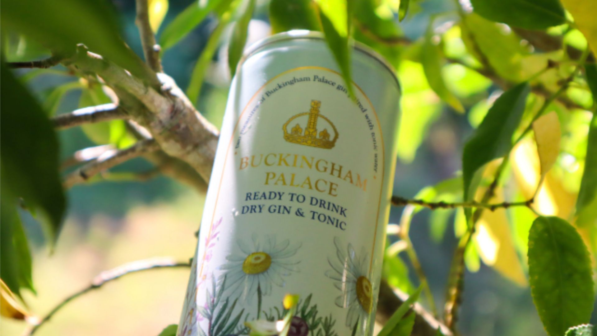 an image of the royal g&t tinny in the grounds of the palace against a tree