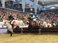 shetland-pony-grand-national.jpg