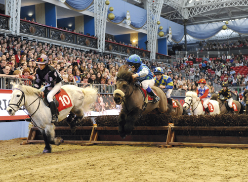 shetland-pony-grand-national.jpg