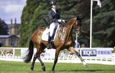 Blenheim dressage results Bettina Hoy