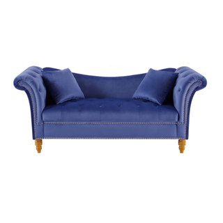 Betoko Velvet Loveseat Sofas Couches With Storage Seat Flared Rolled Arm 2 Seater Sofa for Living Room Bedroom Button Tufted Small Couch With Solid Wood Legs (blue)