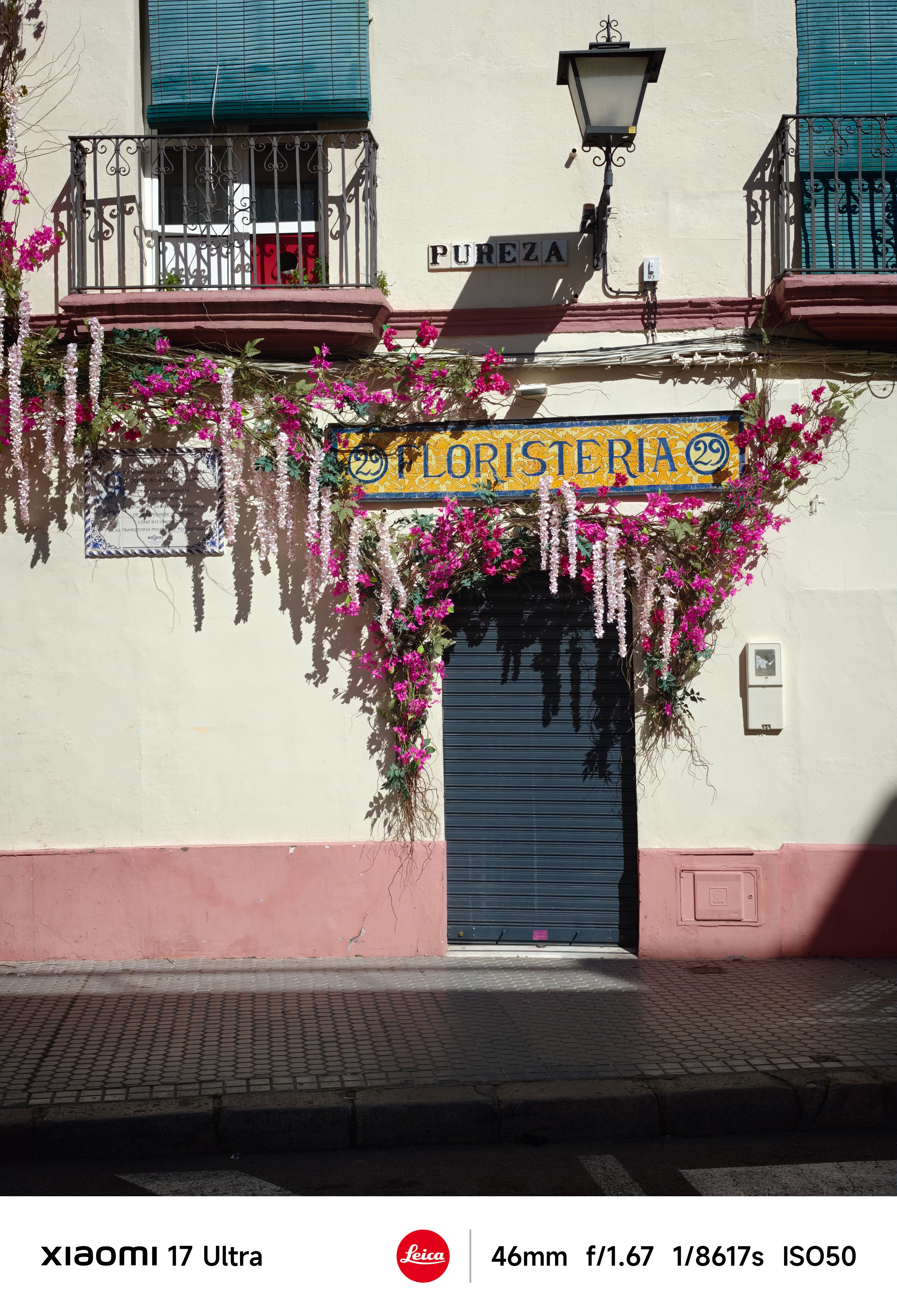 Flower shop façade with pink bougainvillea framing a sign reading “Floristería” beneath a balcony.