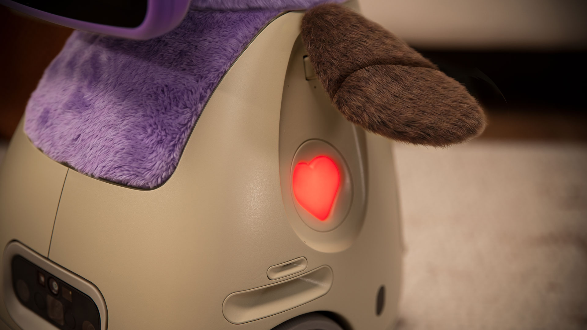 Close up shot of the OlloBot OlloNi SS1 showing its removable Heart Memory Module