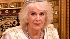 Queen Camilla paired coronation dress with stunning tiara. Seen here wearing both to the State Opening of Parliament