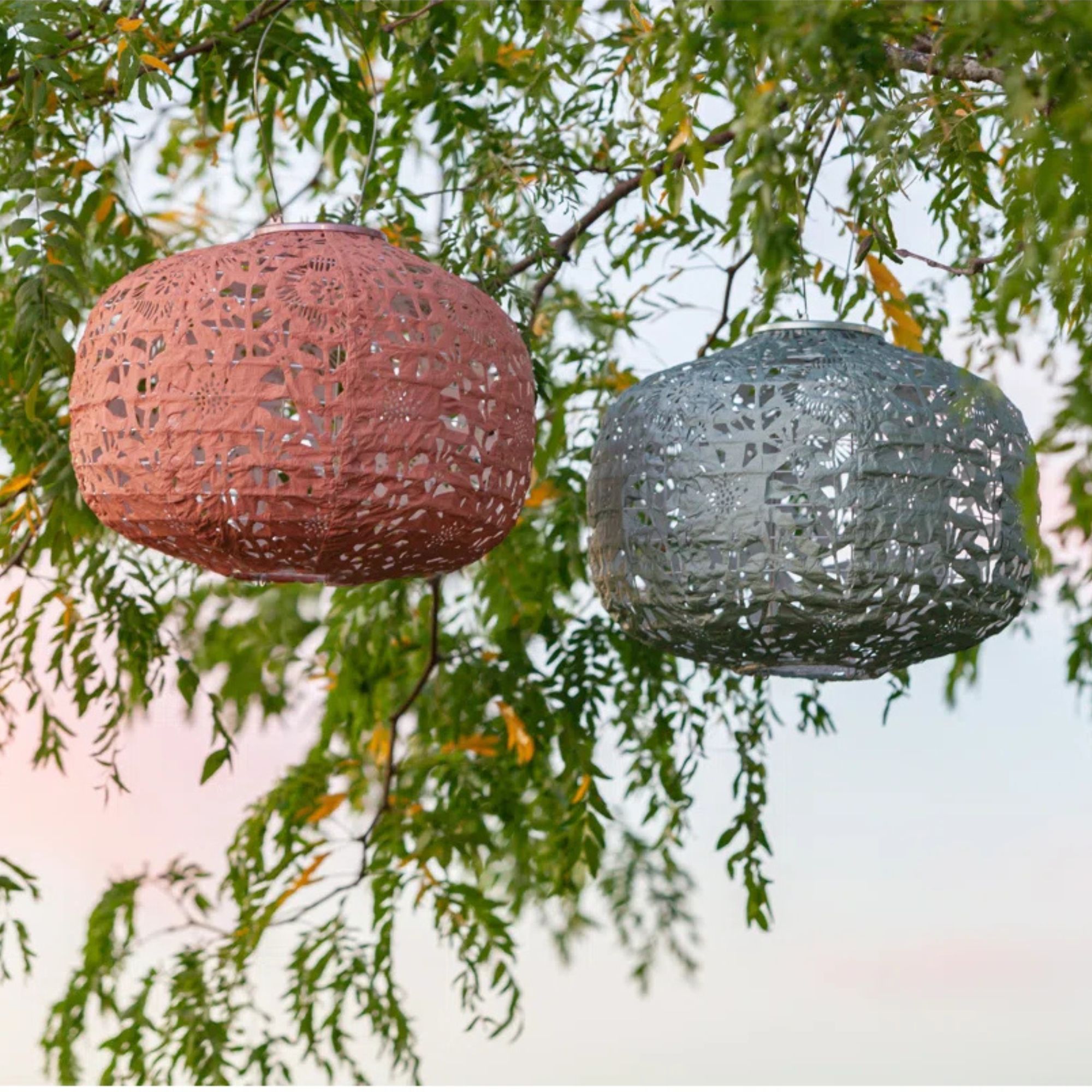 coloured hanging lanterns in tree