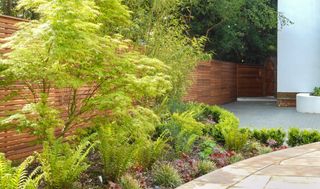 curved flower bed with slatted timber fence behind it