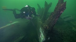 One of the archaeologists excavating the Gribshunden, led by Sweden's Lund University, explores some of the ship's timbers.