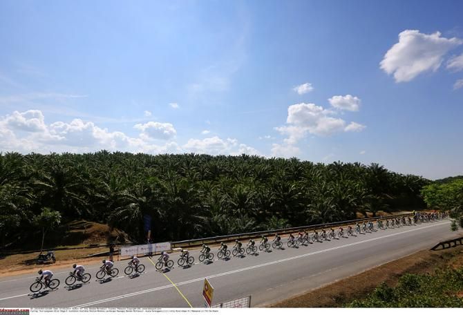 The peloton