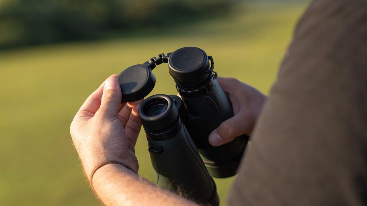 Celestron Nature DX 12x56 in the hand