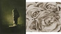 A side-by-side diptych featuring a dark, moody green-toned photograph of a standing statue of Balzac on the left and a high-contrast, sepia-toned close-up of rose petals on the right.