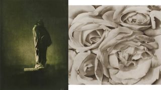 A side-by-side diptych featuring a dark, moody green-toned photograph of a standing statue of Balzac on the left and a high-contrast, sepia-toned close-up of rose petals on the right.