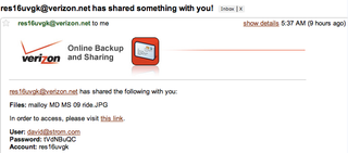 Your collaborators will get an email message similar to this one that contains a link to download a shared file.