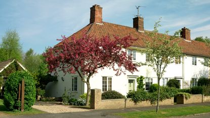 Looking at the exterior of a white cottage-style house with trees in front of it