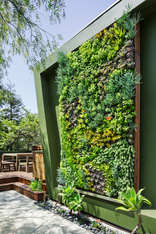 a large living wall in a garden