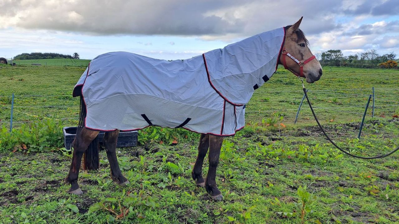 Hy DefenceX System Airflow Detachable Fly Rug from side