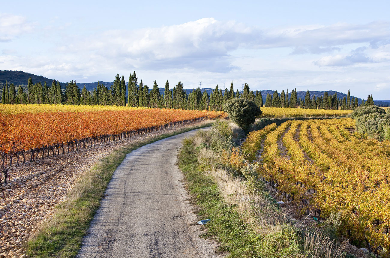 Lirac &amp; Tavel 2024