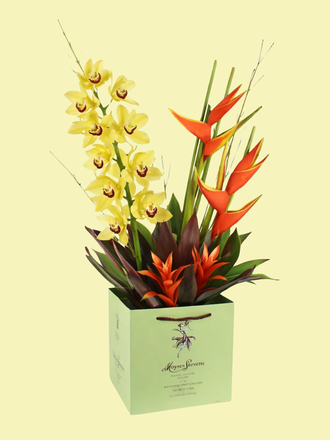 A bag of yellow orchids, bird of paradise, and guzmania