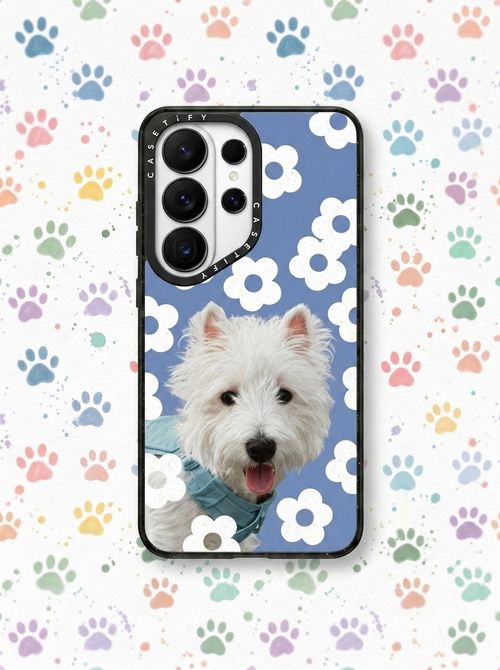 Impact Magnetic case