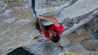   Free Solo