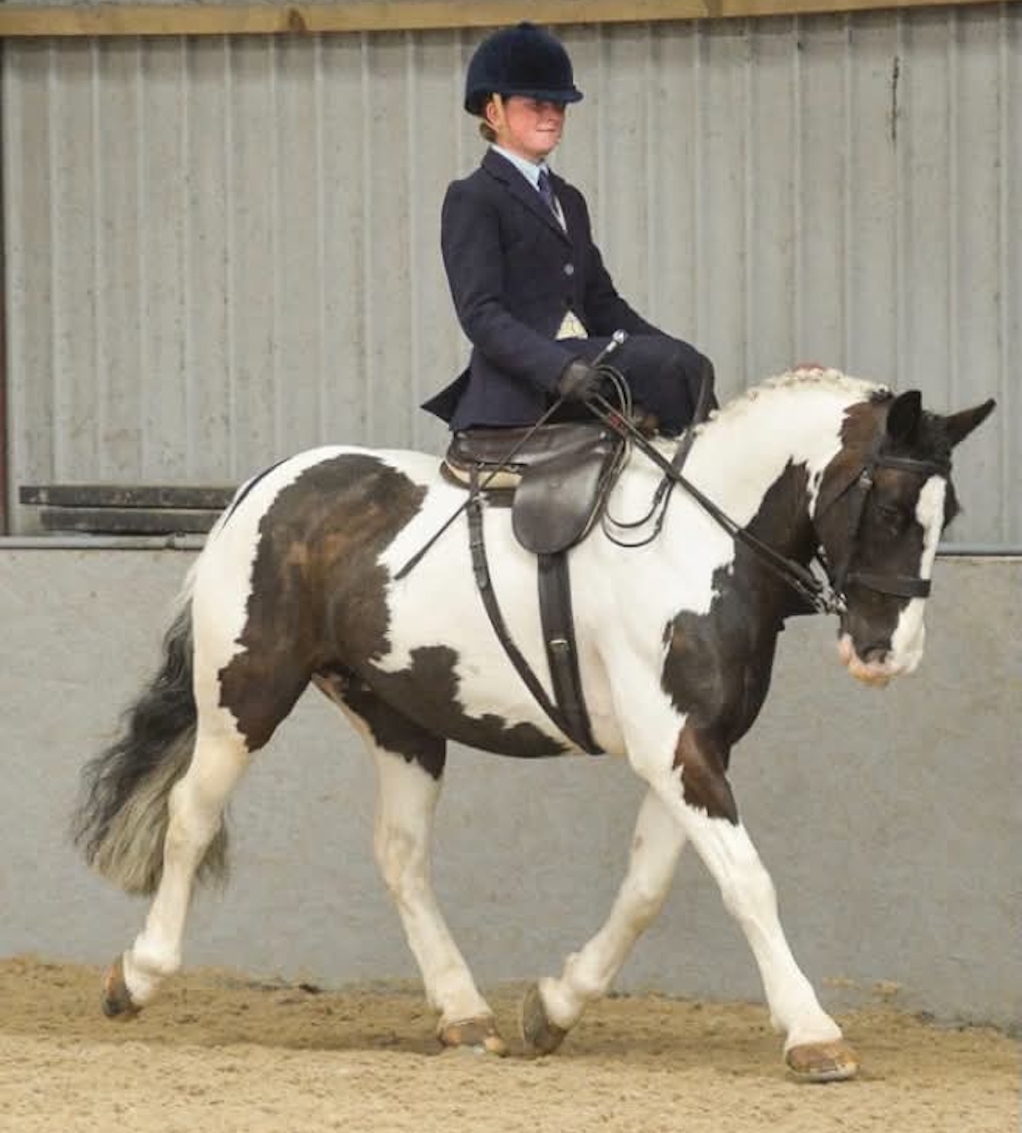 Hope Wilson riding piebald cob Charlie Girl side-saddle