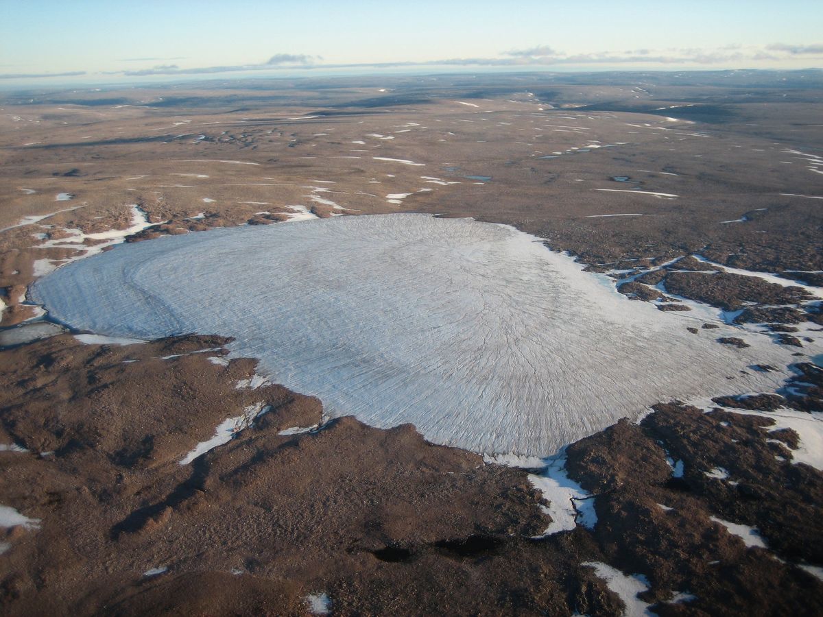 As ice caps like this one, nicknamed Sputnik, melt, they expose tiny plants that have been frozen there for millennia, giving clues to the past climate. 