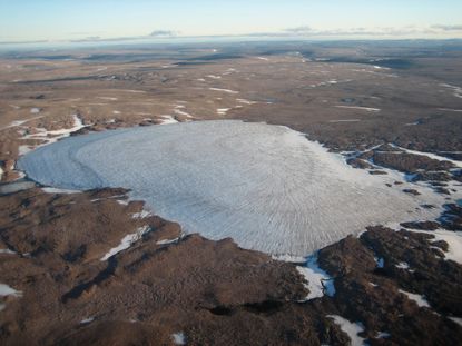 As ice caps like this one, nicknamed Sputnik, melt, they expose tiny plants that have been frozen there for millennia, giving clues to the past climate.
