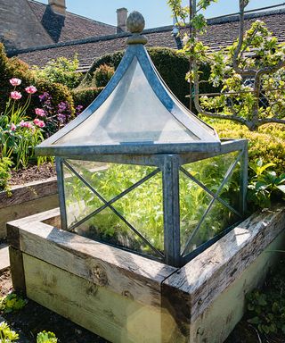 traditional cloche on a raised bed in a vegetable garden