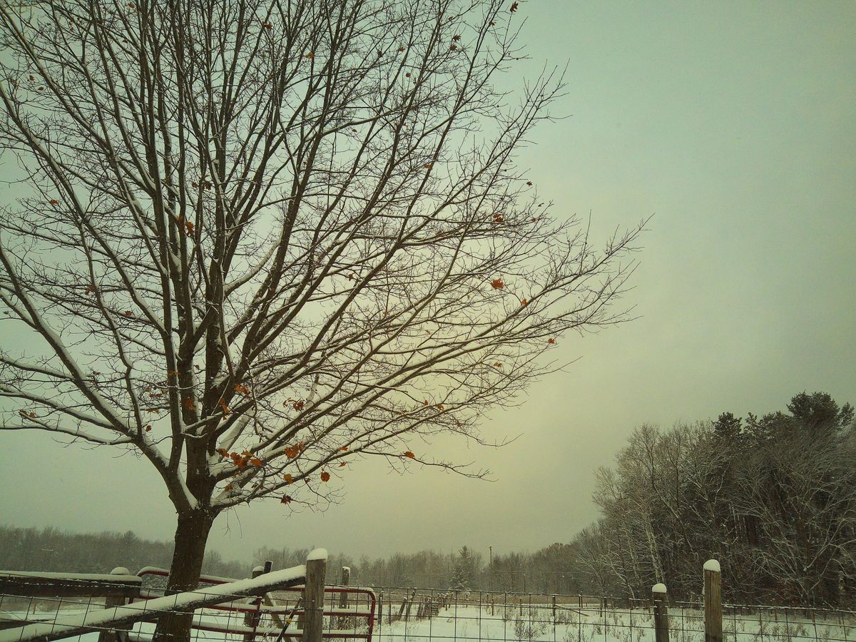 A sample image taken with the Camp Snap CS-Pro