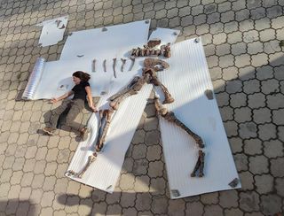 A woman lays on the ground next to the partial skeleton of a dinosaur that is about twice her height