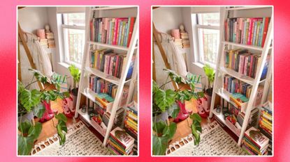 White leaning bookhelf image on colorful background