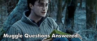 Harry Potter and the Deathly Hallows questions explained