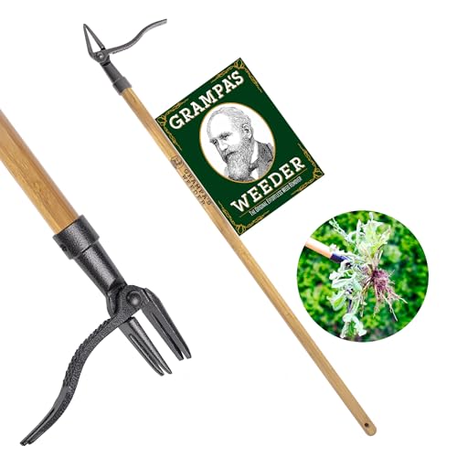 Grampa's Weeder - the Original Stand Up Weed Puller Tool With Long Handle - Made With Real Bamboo &amp;amp; 4-Claw Steel Head Design - Easily Remove Weeds Without Bending, Pulling, or Kneeling.