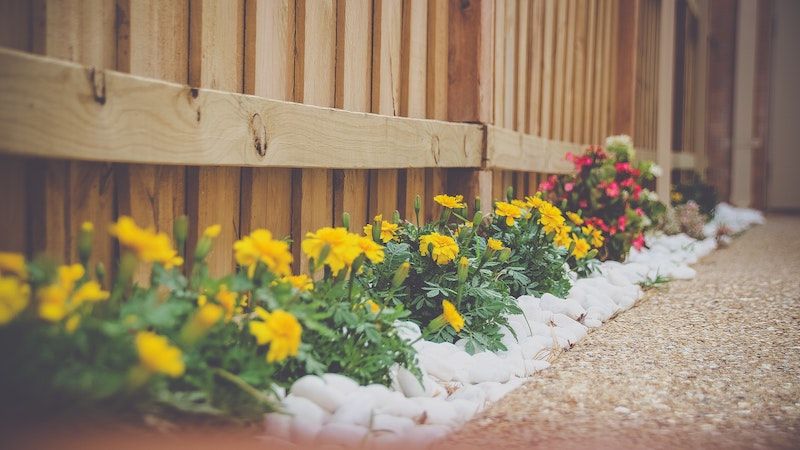 landscaping in front of fence