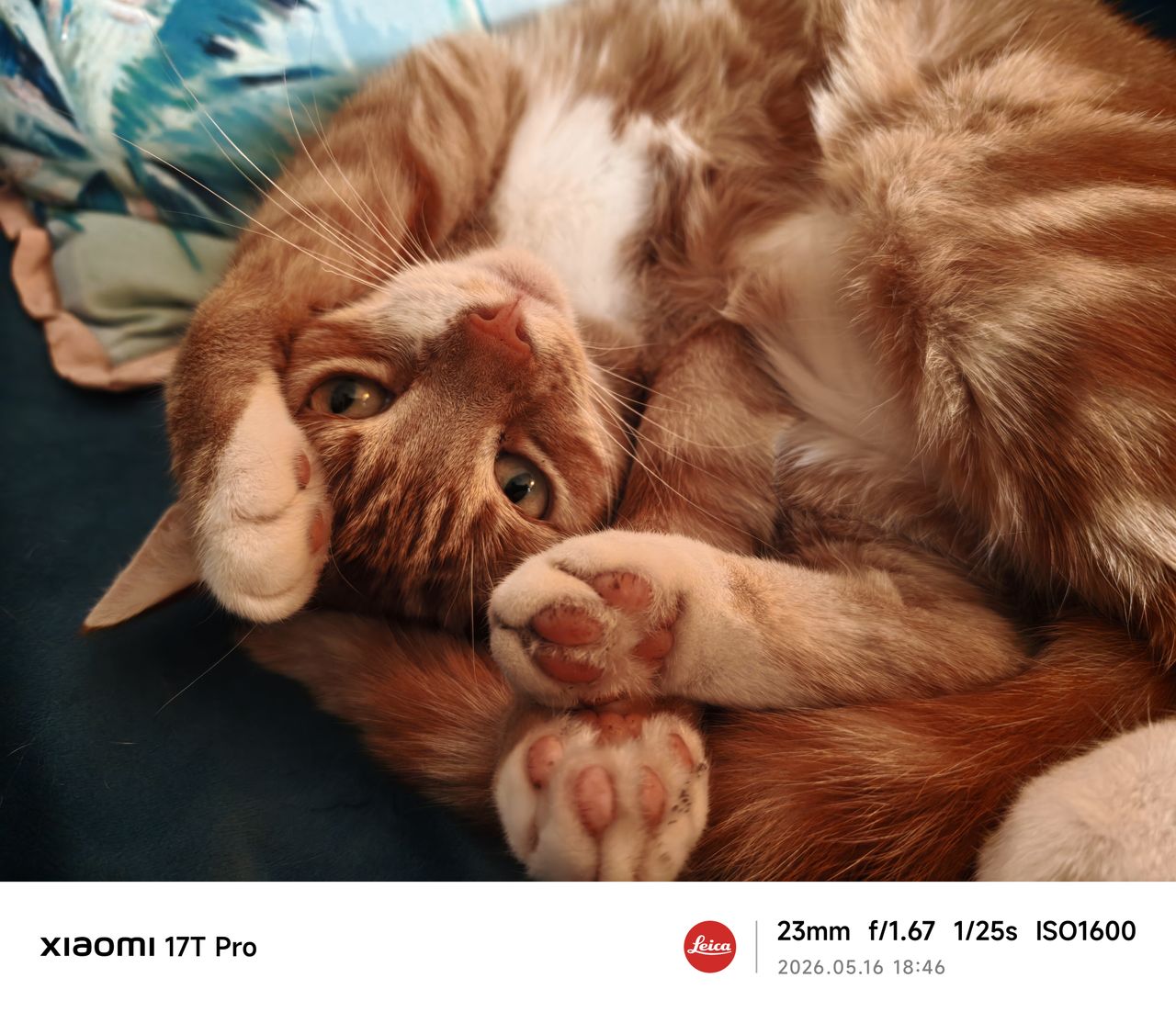 Xiaomi 17T Pro camera sample