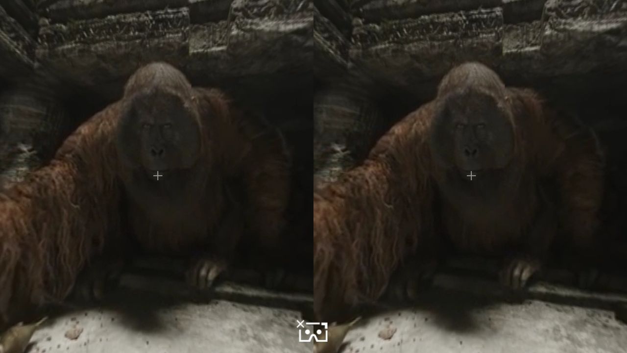 Plain VR