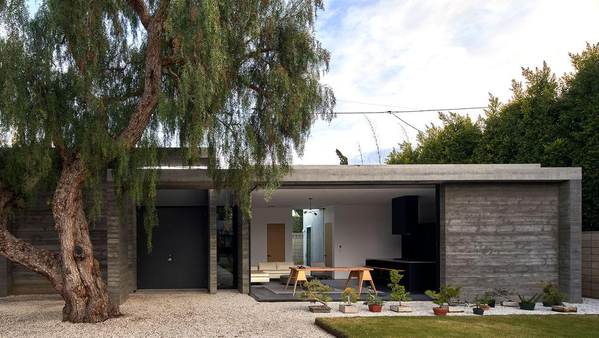 Tour Bonsai House in Venice, California - Vimarsana News