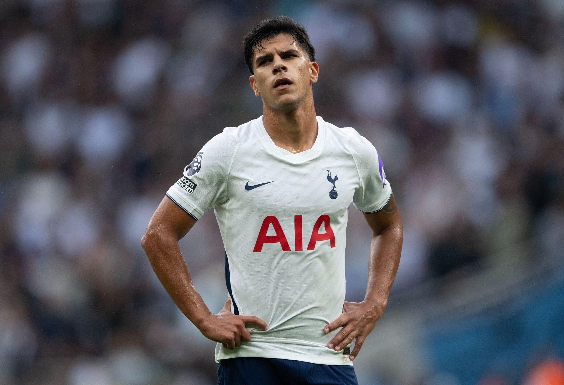 Tottenham Hotspur are mistreating their 'perfect signing' despite Roberto De Zerbi's confidence comments